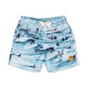 Rock Your Baby Waves Boardshorts with Mesh Lining in Blue 10