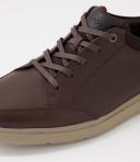 Rockport TM Court Blucher Brown Leather Sneakers Brown Mens Sneakers Casuals Shoes