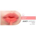 Rom&nd Juicy Lasting Tint (New) #27 Pink Popsicle