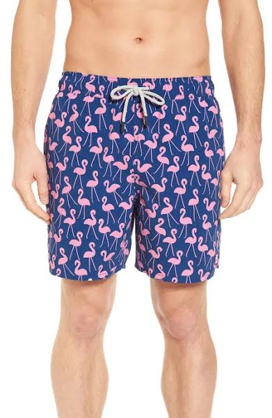 Rose Flamingos Swim Shorts | Tom & Teddy