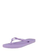 Roxy Viva IV Flip Flops - Sheer Lilac
