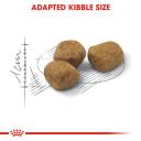 Royal Canin Adult Complete Cat Food Fit 32 (10kg)