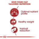 Royal Canin Adult Complete Cat Food Fit 32 (10kg)