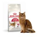 Royal Canin Adult Complete Cat Food Fit 32 (10kg)