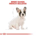 Royal Canin French Bulldog Puppy Dry Food, 10kg