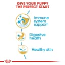 Royal Canin French Bulldog Puppy Dry Food, 10kg