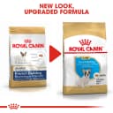 Royal Canin French Bulldog Puppy Dry Food, 10kg