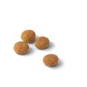 Royal Canin Protein Exigent Adult Dry Cat Food, 400g