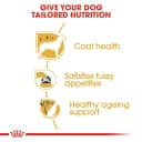 Royal Canin Yorkshire Terrier Adult 3kg Dog Food Multicolor 3kg