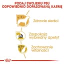 Royal Canin Yorkshire Terrier Adult Dry Dog Food, 7.5kg