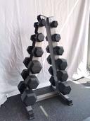 Rubber Hex Dumbbells 50kg Pairs