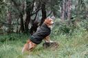 Ruff N Rugged Canvas Coat Dog Black - x Large