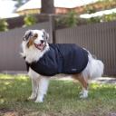 Ruff N Rugged Canvas Coat Dog Black - x Large