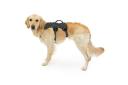 Ruffwear Web Master Harness