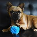 Rufus & Coco Clean & Chew Dental Toy Mint