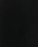 Saba Women's Tia Pull On Pants in Black Size 10