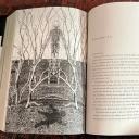 Salem's Lot [Book]