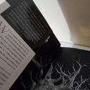 Salem's Lot [Book]