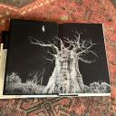 Salem's Lot [Book]