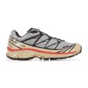 Salomon Gray & Taupe XT-6 Mindful Sneakers