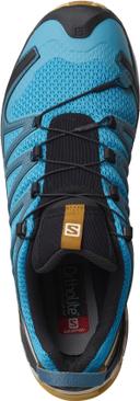 Salomon Men's Low XA Pro 3D V8 Shoes
