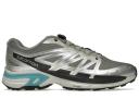 Salomon Silver XT-Wings 2 Advanced Low Sneakers