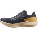 Salomon Spectur Shoes Pink Women - 37(1/3)