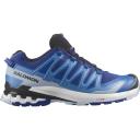 Salomon XA Pro 3D V9 Shoes Electric Blue - 49(1/3)