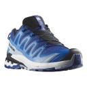 Salomon XA Pro 3D V9 Shoes Electric Blue - 49(1/3)
