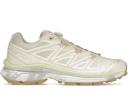 Salomon XT-6 Aloe Wash Feather Grey