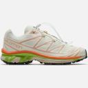 Salomon XT-6 Aloe Wash Feather Grey