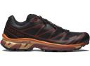Salomon XT-6 Aloe Wash Feather Grey