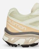 Salomon XT-6 - Aloe Wash / Hazelnut / Feather Gray - US 5 - Unisex