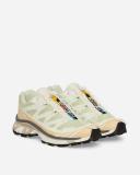 Salomon XT-6 - Aloe Wash / Hazelnut / Feather Gray - US 7.5 - Unisex