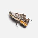 Salomon XT-6 Expanse Running Shoe Fthr Gry/ Delicioso/ Gldn Oak