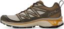Salomon XT-6 Expanse Running Shoe Fthr Gry/ Delicioso/ Gldn Oak