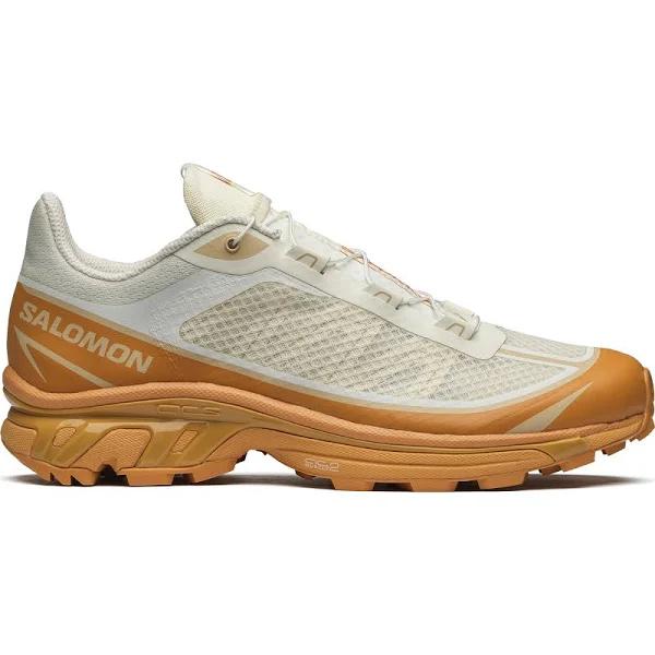 Salomon XT-6 ft