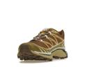 Salomon XT-6 Rubber/ Lizard/ Eden