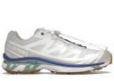 Salomon XT-6 Vanilla Ice Granite Green Gum