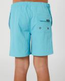 Santa Cruz Classic Dot Cruzier. Ocean Size 12