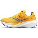 Saucony Triumph 20 Wom Shoe Fog/Vapor 6.5 B