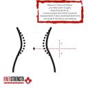 SBD Powerlifting Belt, 2XLarge