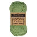 Scheepjes Cahlista - Dark Teal (401)