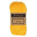 Scheepjes Cahlista - Dark Teal (401)