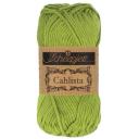 Scheepjes Cahlista - Dark Teal (401)