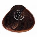 Schwarzkopf 6-70, Igora Royal Absolutes Color 60 ml