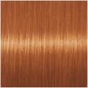 Schwarzkopf 8.4 Color Ultime Permanent Hair Color Cream Light Copper Red
