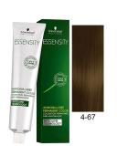 Schwarzkopf Essensity Permanent Colour 1:2 4-67 Medium Brown Auburn Copper
