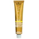 Schwarzkopf Igora Absolutes Hair Color, 5-80 Light Brown Red Natural