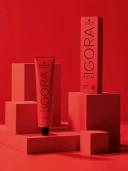 Schwarzkopf Igora Royal 8-55 60ml